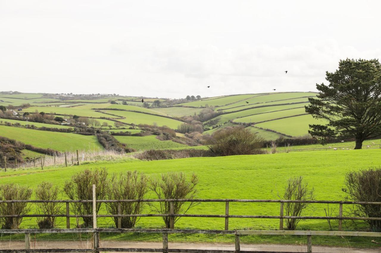 Northlight, Port Isaac Bay Holidays Екстериор снимка