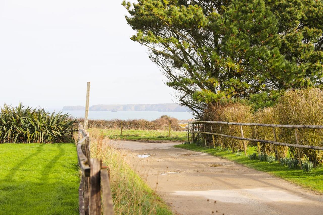 Northlight, Port Isaac Bay Holidays Екстериор снимка